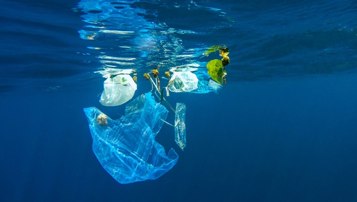 Beyond the carrier bags
